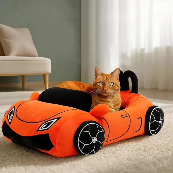 Cat Beds Funny Supercar